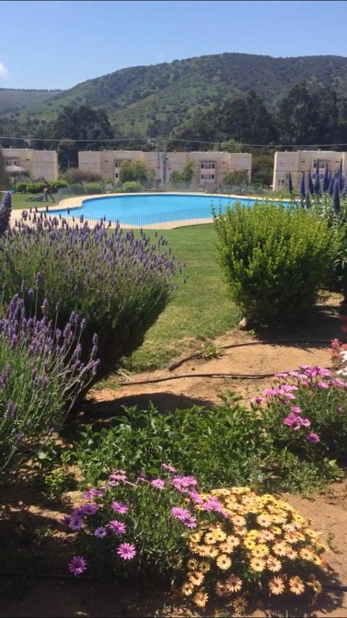 Haydee Lomas De Papudo IV Apartman Kültér fotó